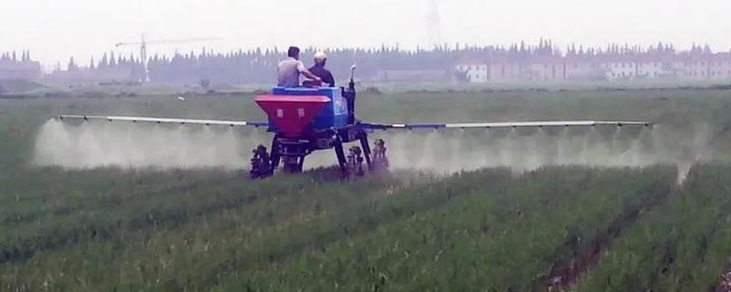 苯醚甲环唑搭配上吡唑醚菌酯的具体功效有哪些