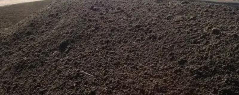 鸡粪直接埋在土里需要经过多久才能种菜