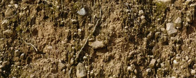 土质分类具体包括哪几种，它们各自的详细特征是什么