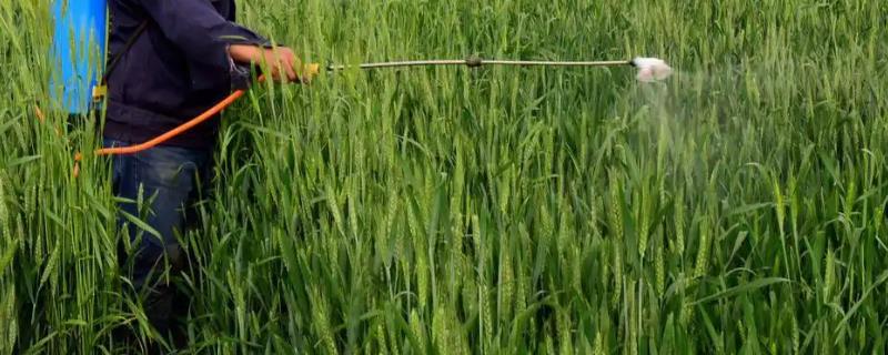 碧护的最佳搭配方案有哪些，具体的混合使用效果又是怎样的呢