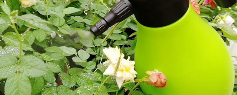 碧护用药后大概几天见效果