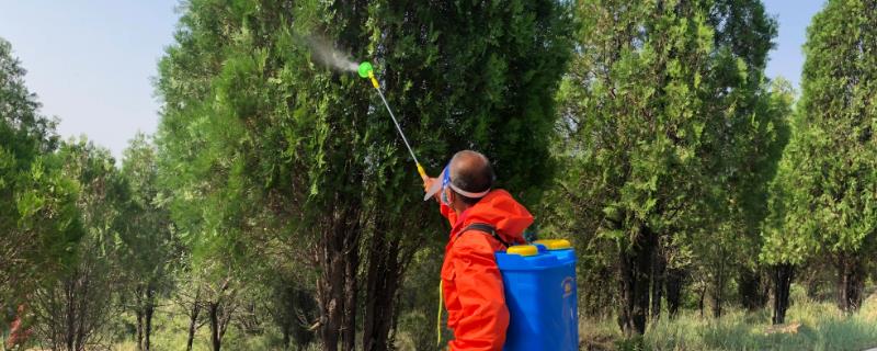 杀灭蚧壳虫最有效的药剂有哪些，推荐几种强力除虫药剂