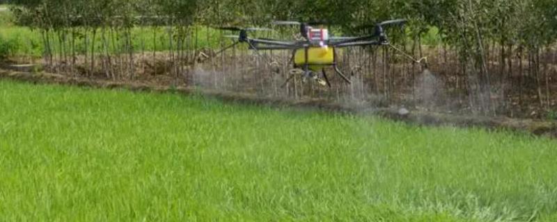 敌杀死农药详细使用说明书