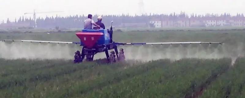 代森锰锌的具体功效与作用有哪些呢