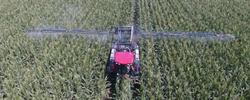 丙森锌和代森锰锌哪个比较好，它们两个具体的区别在哪里