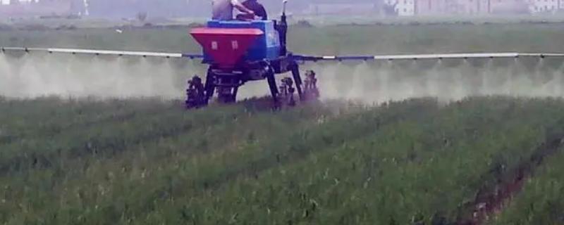 乙蒜素有哪些作用，它的用途是什么