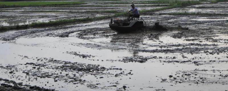 在水田淹水期间不宜施用哪种类型的氮肥