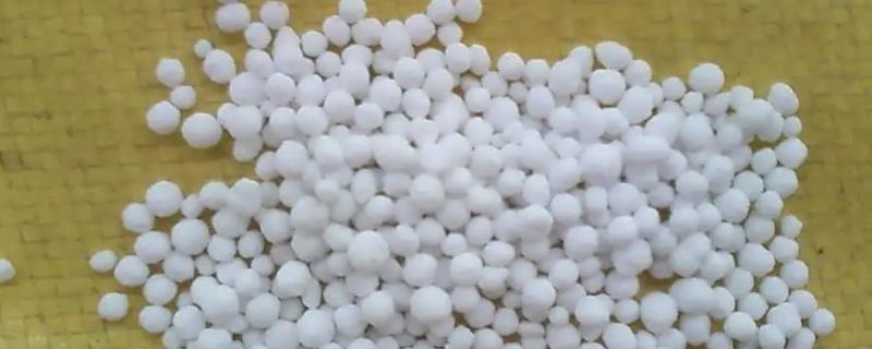 氮肥有哪些特点，该如何施用