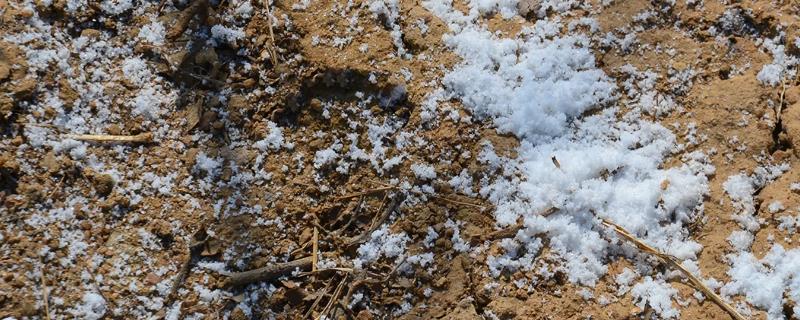 氮肥的使用剂量过多会产生哪些危害