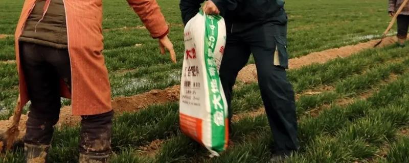 氮肥的高效施用，具体的原则有哪些