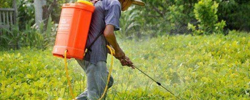 溴菌腈不能够与哪些类型的农药混合配制使用呢