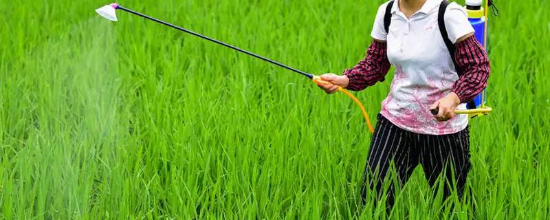 四霉素不能与哪些杀菌剂进行混合使用