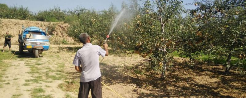腐霉利具体有哪些作用，以及它的功效究竟是什么