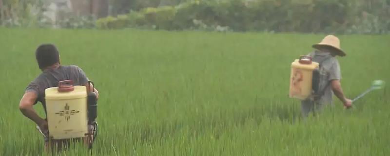 阿米妙收使用方法，附详细操作说明