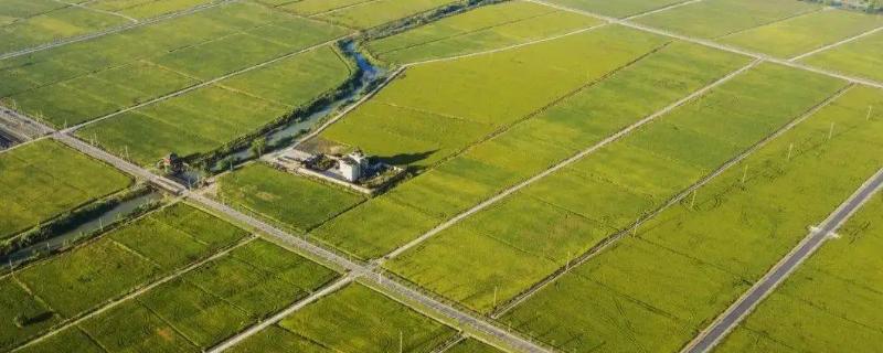 基本农田究竟能不能发展规模养殖业呢