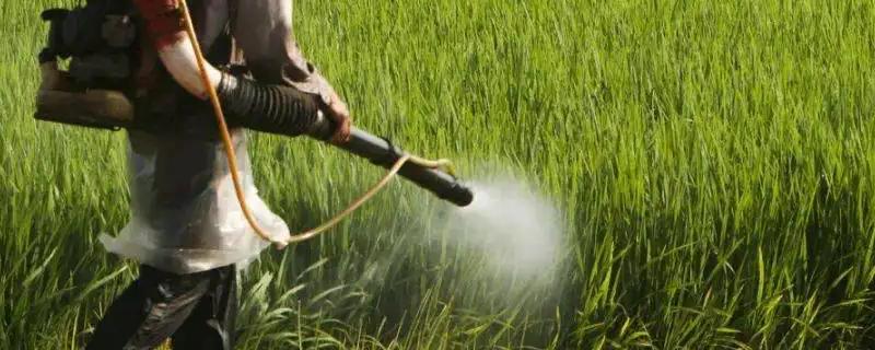 精喹禾灵的具体使用方法，以及其适用的作物