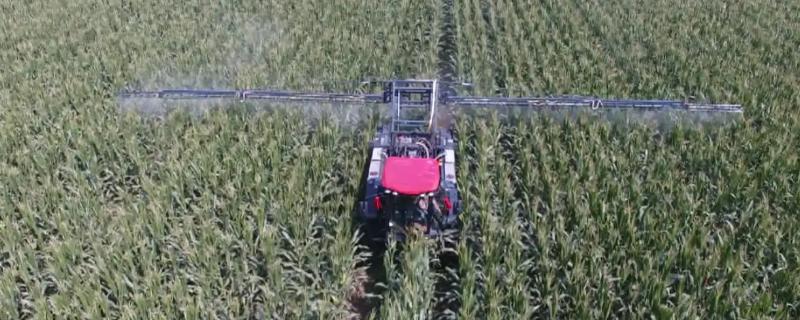 解除药害用芸苔素速度更快还是碧护效果更胜一筹