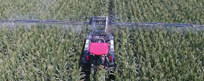 阿维菌素进行灌根的具体操作方法有哪些