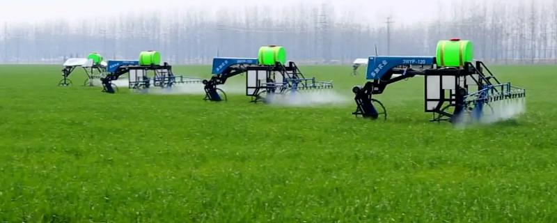 阿维菌素对红蜘蛛真的有效果吗，它的实际杀虫效果究竟怎么样呢