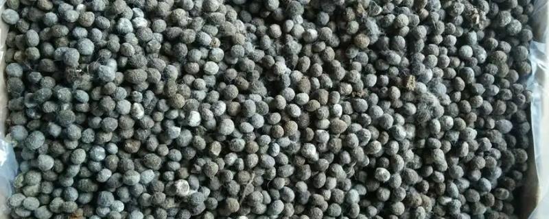 兔粪与羊粪的肥效哪个更出色，关于这两种肥料的详细肥效比较