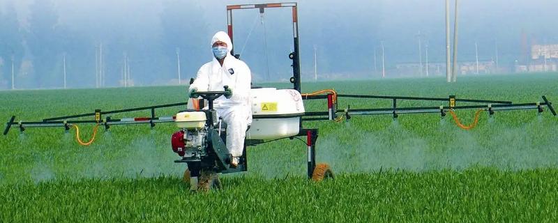 吡丙醚具体的优点和缺点有哪些