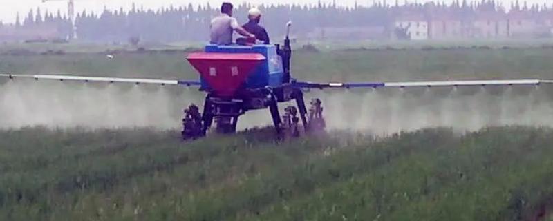 吡唑醚菌酯具体有哪些作用，它在农业生产中的详细用途有哪些