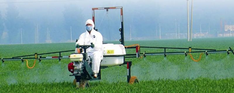 阿维菌素的安全间隔期具体是多少天