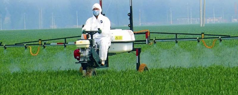 胺鲜乙烯利的作用和具体功效都有哪些