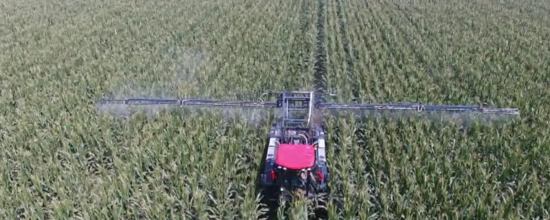 喷玉米除草剂几小时下雨，才不会影响最终药效
