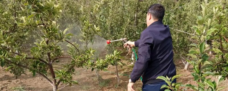 乙蒜素的使用方法有哪些，可用于作物浸种或者进行叶面喷雾