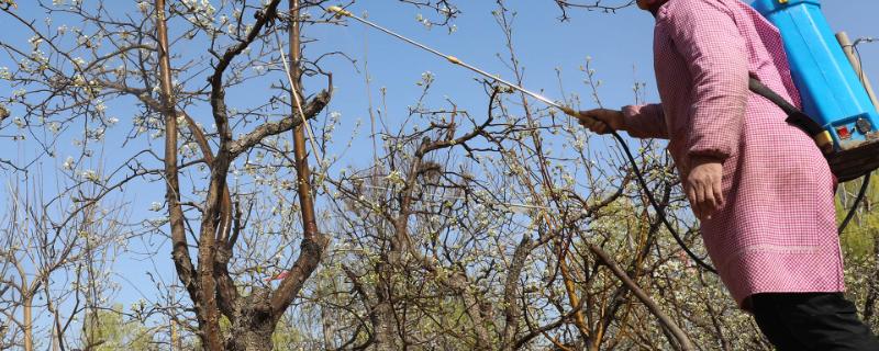 异丙隆除草剂的具体使用方法有哪些，针对不同种类杂草的防除方式各有不同