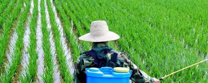 硫酸铜钙适合与哪些类型的农药进行混用，它属于一种广谱的高效保护性杀菌剂