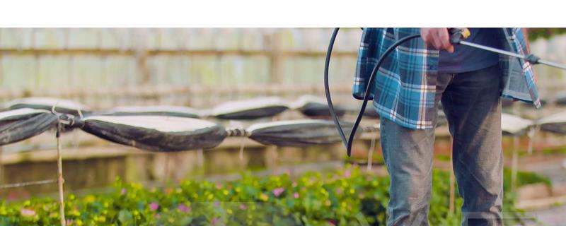 氟吡甲禾灵具备哪些显著特点，它是种高效的选择性除草剂吗