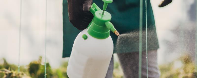 井冈霉素能否用于蔬菜喷打呢，它则是一种由放线菌所产生的生物抗生素