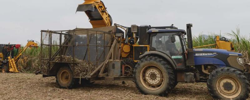 如何正确掌握玉米联合收获机的选购要点，动力的配套性问题必须着重进行考虑