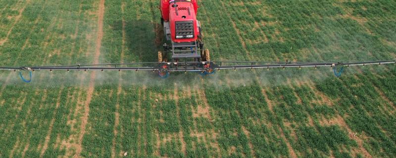 磷肥的主要分类，不同种类的肥效作用也存在差异