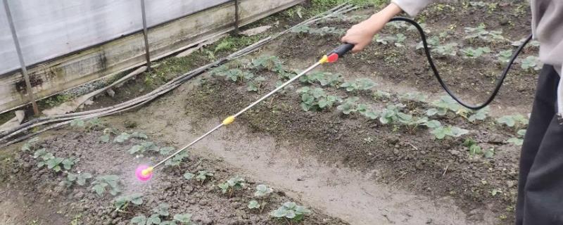 乙霉威具体可以防治什么病害，它与多菌灵之间存在着负交互抗性吗