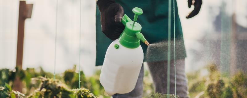 氰霜唑的作用到底有哪些，它是一种新型的低毒性杀菌剂吗