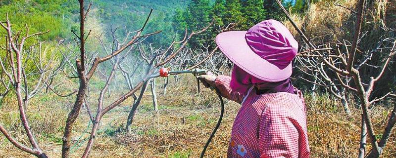 阿维哒螨灵的主要作用有哪些，它是属于触杀性杀螨类农药制剂吗