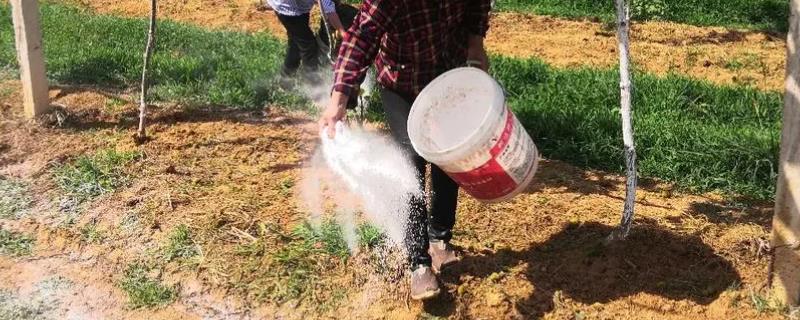 西洋牌复合肥的具体使用方法有哪些，既可以用来做底肥也可以用来追肥