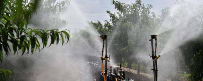 井冈霉素对果树的具体作用有哪些，它属于内吸性非常强的高效杀菌剂