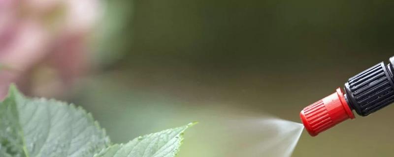 避蚊胺对猫咪是否有害处，在使用的时候猫咪是否需要远离躲避