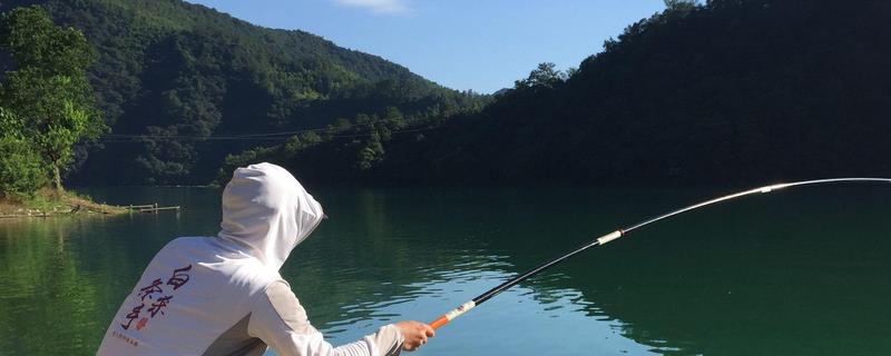 用玉米钓鱼的实战效果到底好不好，因为带有谷物天然味道和甜味所以钓鱼效果非常棒