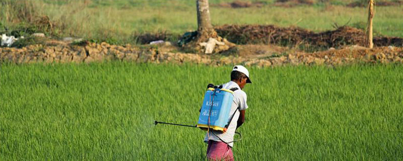 哪些农药完全不怕雨淋，井岗霉素和波尔多液是否耐雨水冲刷