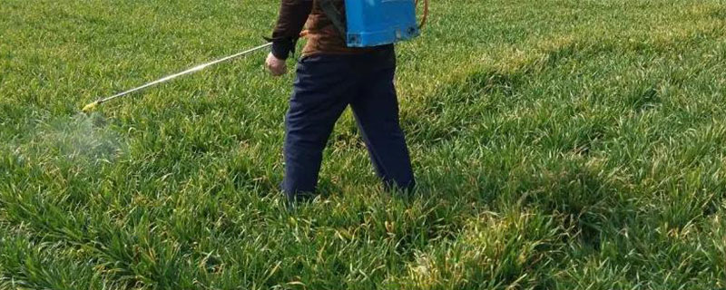 小麦除草剂的具体分类有哪些，针对阔叶草和禾本科杂草分别有不同的防治药剂