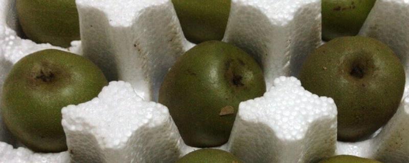 猕猴桃要如何进行催熟，通常可以使用乙烯