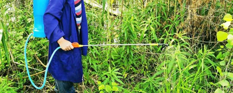 使用百草枯的注意事项有哪些，在喷药时必须防止药液出现大面积漂移