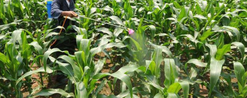 矮壮素具体有哪些副作用，过量使用该药剂是否会严重抑制作物生长