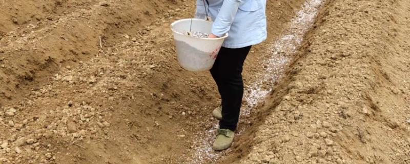 涕灭威到底是什么，它属于内吸性高毒级别的杀虫剂