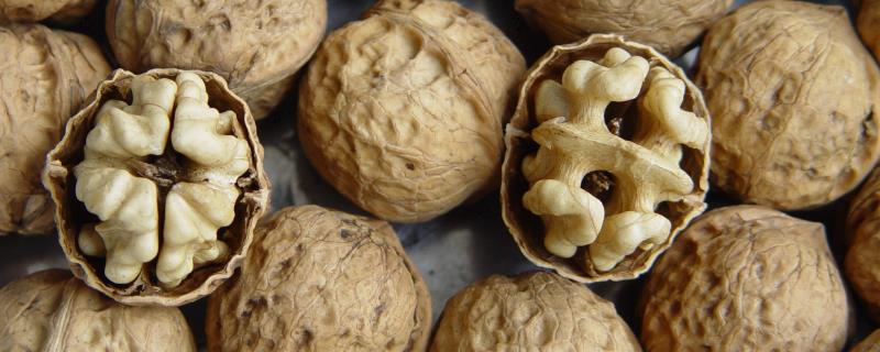 核桃的亩产量一般是多少，每亩地大概能产干核桃五百到六百斤